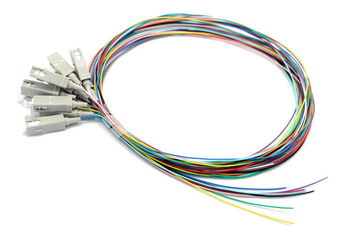 DAD Fiber Optic Pigtail Set (12 Fibres) OM1 Multi-mode Simplex SC/UPC 1.5 Meter Tight Buffer 0.9mm LSZH